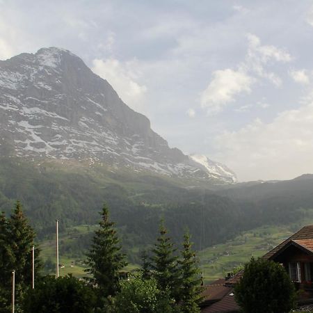 Elements Lodge Grindelwald Exterior photo